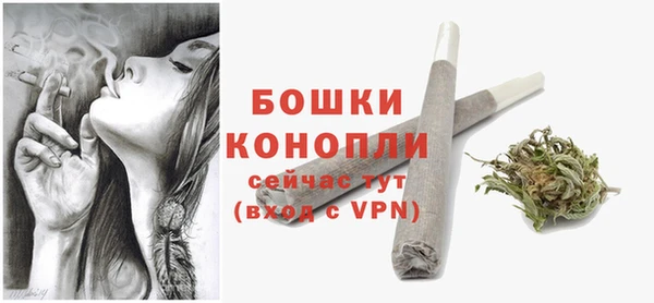 прущие грибы Нея