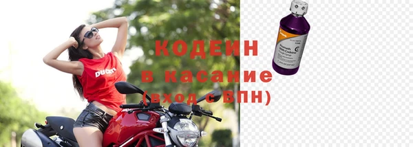 прущие грибы Нея