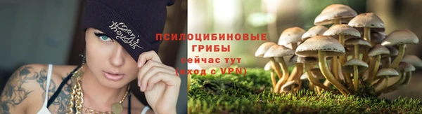 mdpv Нефтегорск