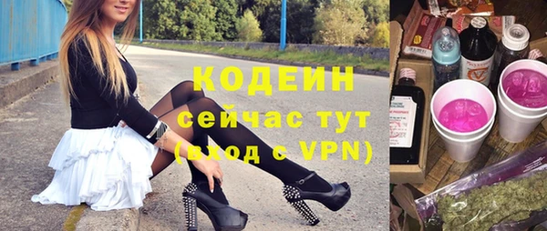 прущие грибы Нея