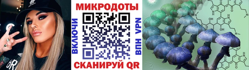 Псилоцибиновые грибы MAGIC MUSHROOMS  сколько стоит  Сольцы 